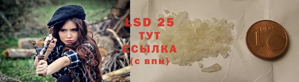 прущие грибы Балахна