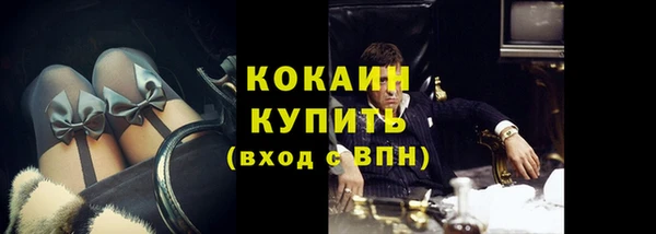 сатива Баксан