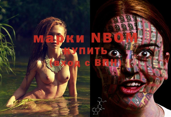 прущие грибы Балахна