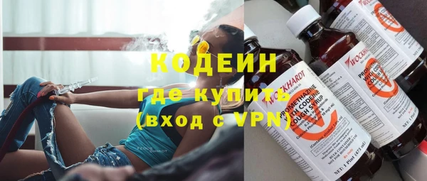 прущие грибы Балахна