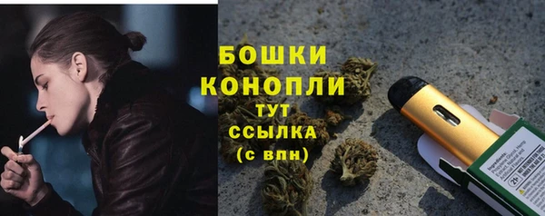сатива Баксан